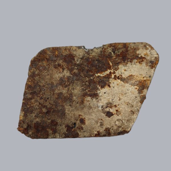 ITALIAN MEDIEVAL BRIGANDINE PLATE