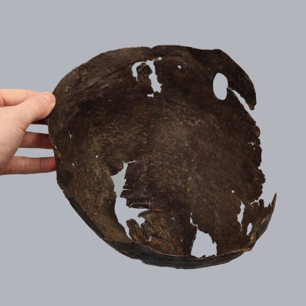 FRAGMENTAL 'BUCKET' HELMET