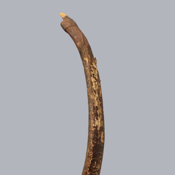 INDOPERSIAN BOW